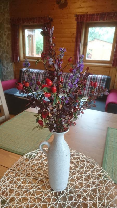 Chalet Na Vyhlidce *